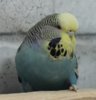 IMG_3397.JPG