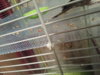 20181130_195927.jpg