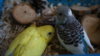 DSC08554.JPG