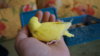 DSC08602.JPG