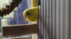 DSC08637.JPG