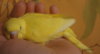 DSC08620.JPG