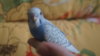 DSC08603.JPG