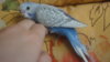 DSC08607.JPG