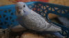DSC08617.JPG