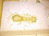 IMG_20181201_200721.jpg
