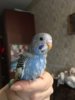 12EDB5EF-E3B4-4DA2-A39B-D2121A692636.jpeg