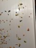 IMG_20181203_194257.jpg