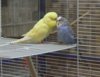 IMG_3757.JPG