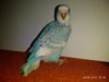 IMG_20181205_153214.jpg