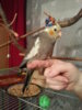 20181205_211237.jpg