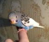 A1110EE4-DEE0-4543-ADEE-08FCE95AA232.jpeg