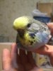IMG-20181115-WA0027.jpg