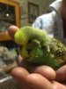 IMG-20181207-WA0017.jpg
