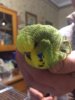 IMG-20181207-WA0018.jpg