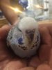 IMG-20181207-WA0016.jpg