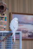 _DSC5445@0,5x.jpg