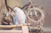 _DSC5599@0,25x.jpg