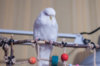 _DSC5605@0,25x.jpg