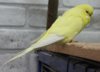 IMG_4047.JPG