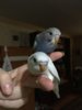 2BBE3509-CC60-4432-9CBB-98CDA428A852.jpeg