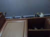 20181215_175313.jpg