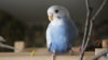 DSC08704.JPG