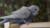 DSC08719.JPG