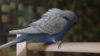 DSC08717.JPG