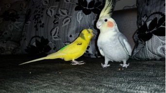 Александра124