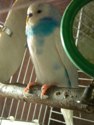 yulya192