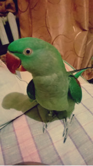 Екатерина.Красноуф