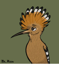 Fijij