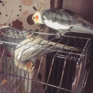 Ольга1682316823