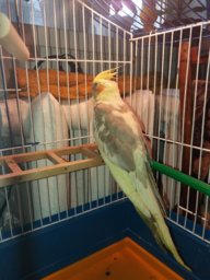 Инна Крутюк