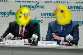 Пернатая банда