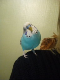 Марина Александровна