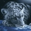 Solnce