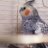Little Bird