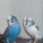 My_cute_parrot