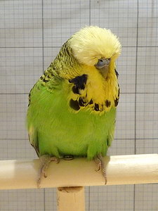 Участник №10 фото