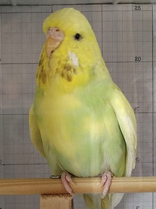 Участник №100 фото