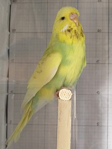 Участник №100 фото