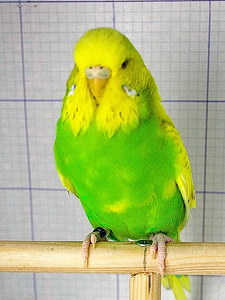 Участник №101 фото