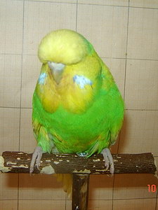 Участник №102 фото