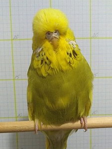 Участник №103 фото