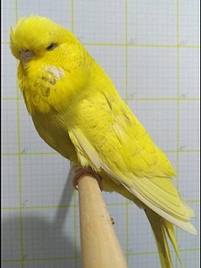 Участник №104 фото