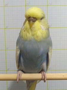 Участник №105 фото