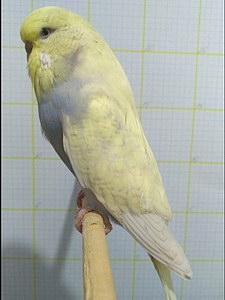 Участник №105 фото