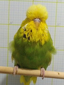 Участник №106 фото